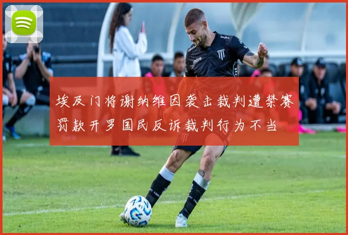 埃及门将谢纳维因袭击裁判遭禁赛罚款开罗国民反诉裁判行为不当